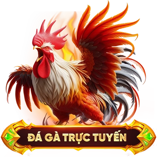 đá gà trực tuyến 77BET